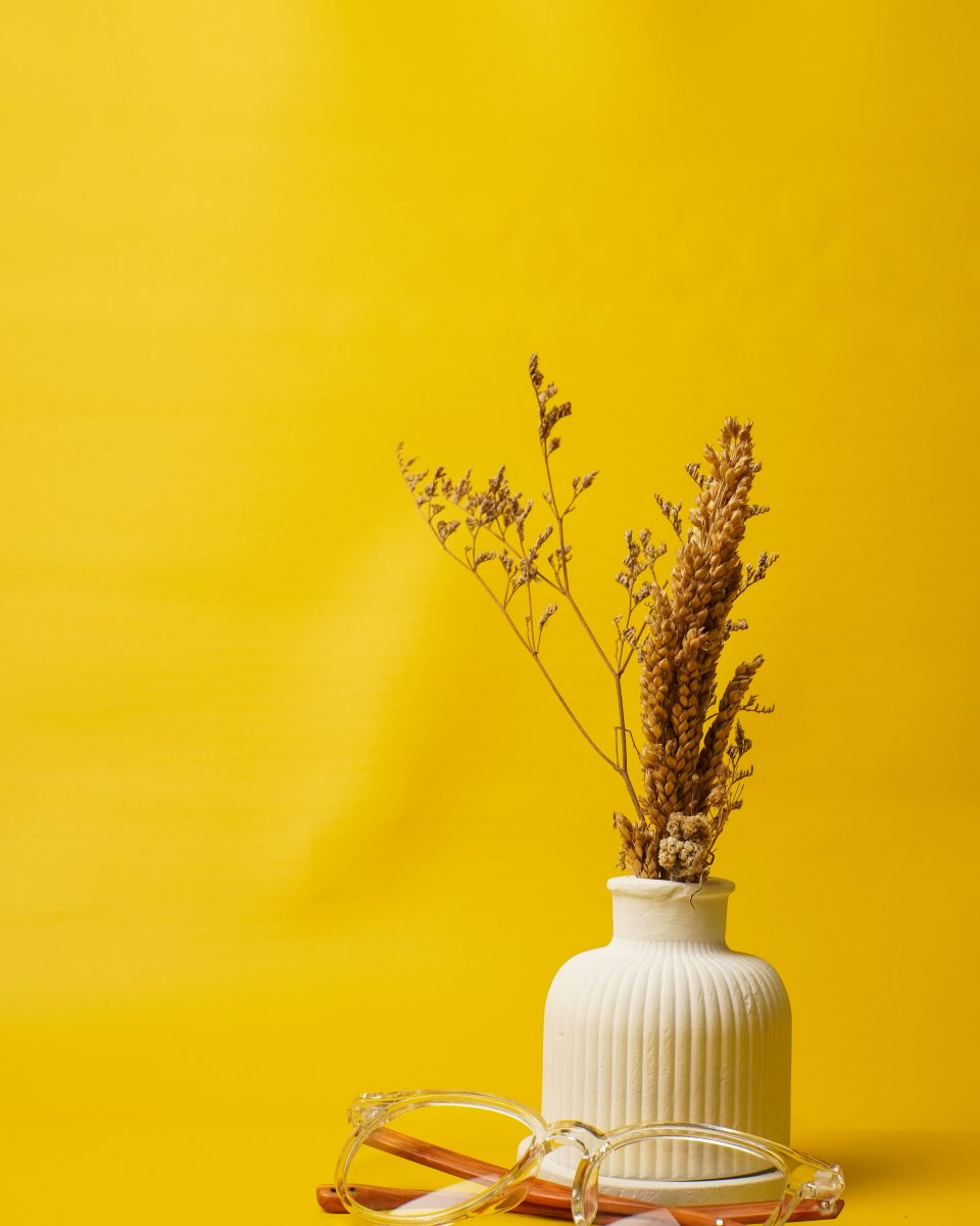 Vase avec des fleurs séchées sur un fond jaune, apportant une ambiance chaleureuse et esthétique.